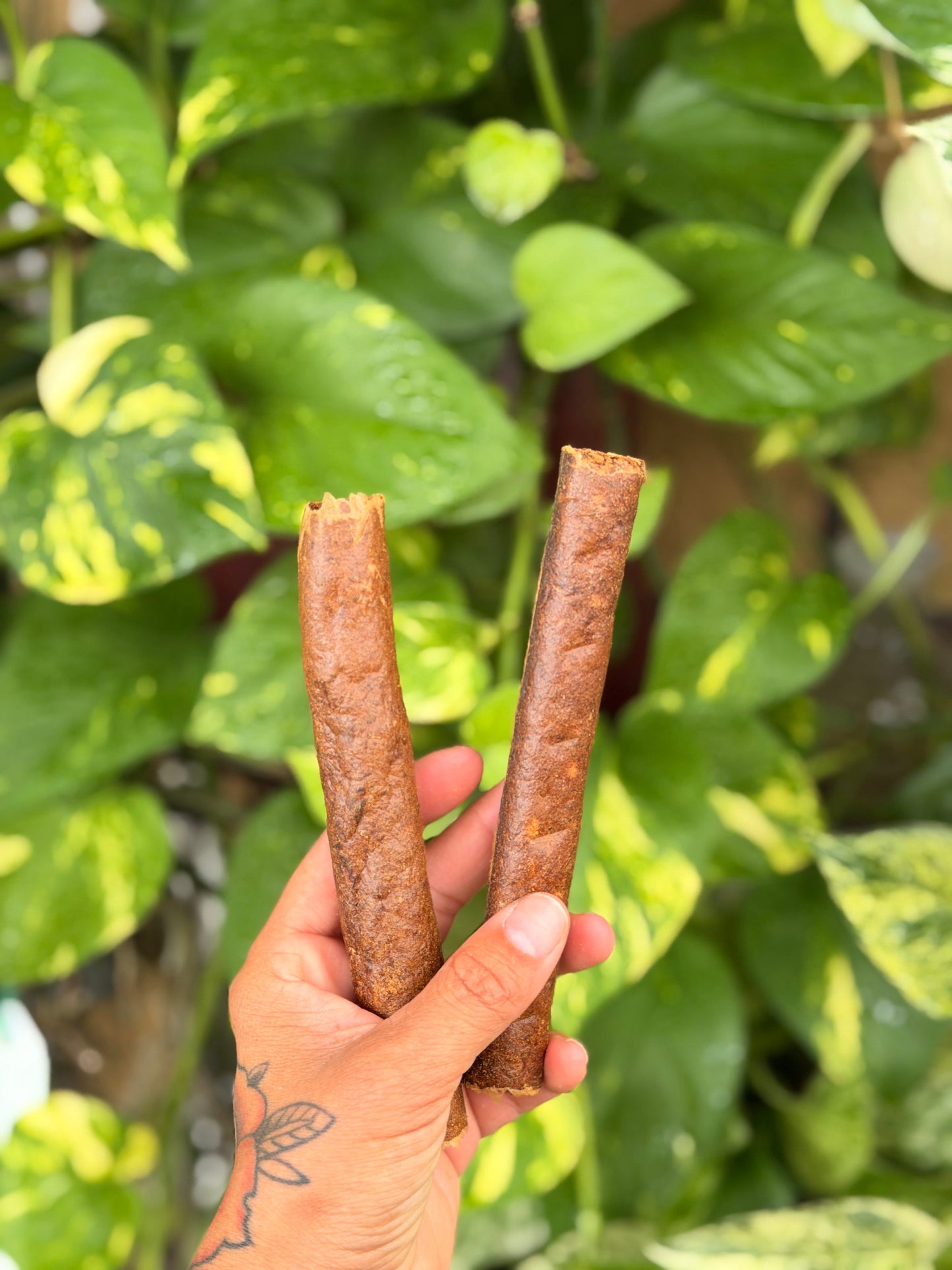 Hare Sausages