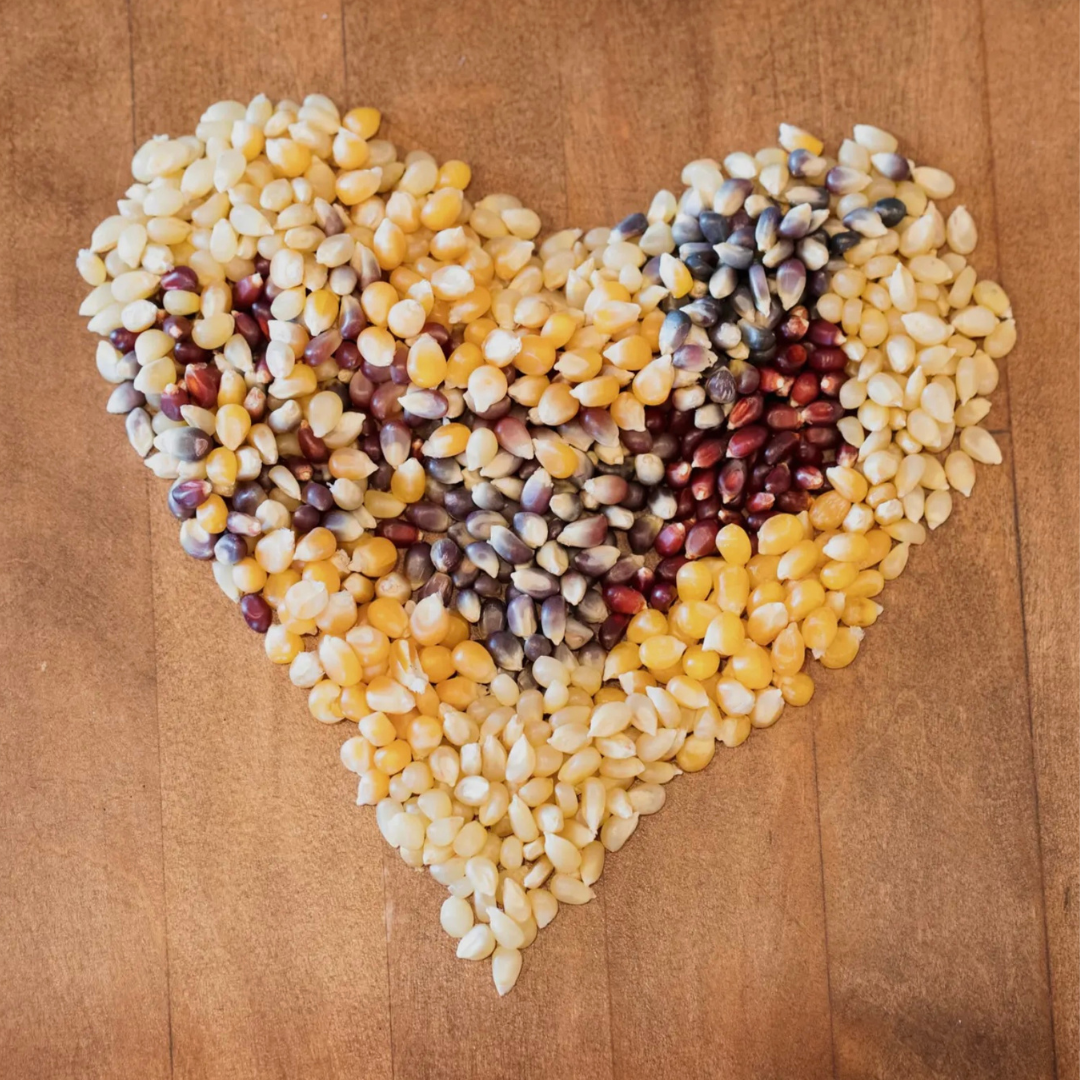 Buttery White Hulless Microwave Popcorn - Amish Country