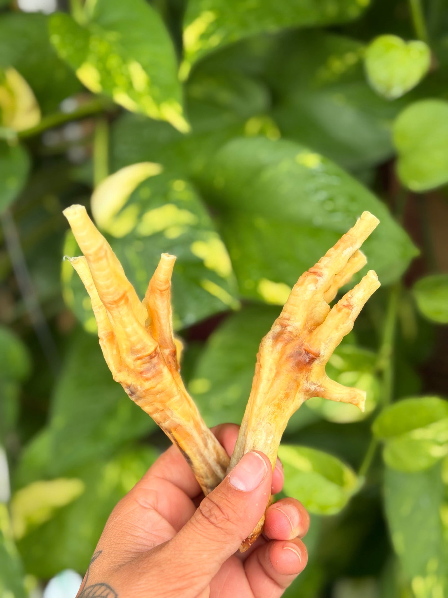 Chicken Feet