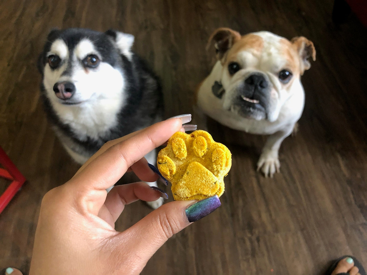 Grain Free Pumpkin Softies