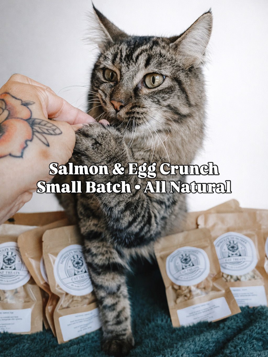 Salmon & Egg Cat Treats