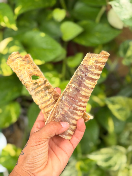 Beef Trachea Flats