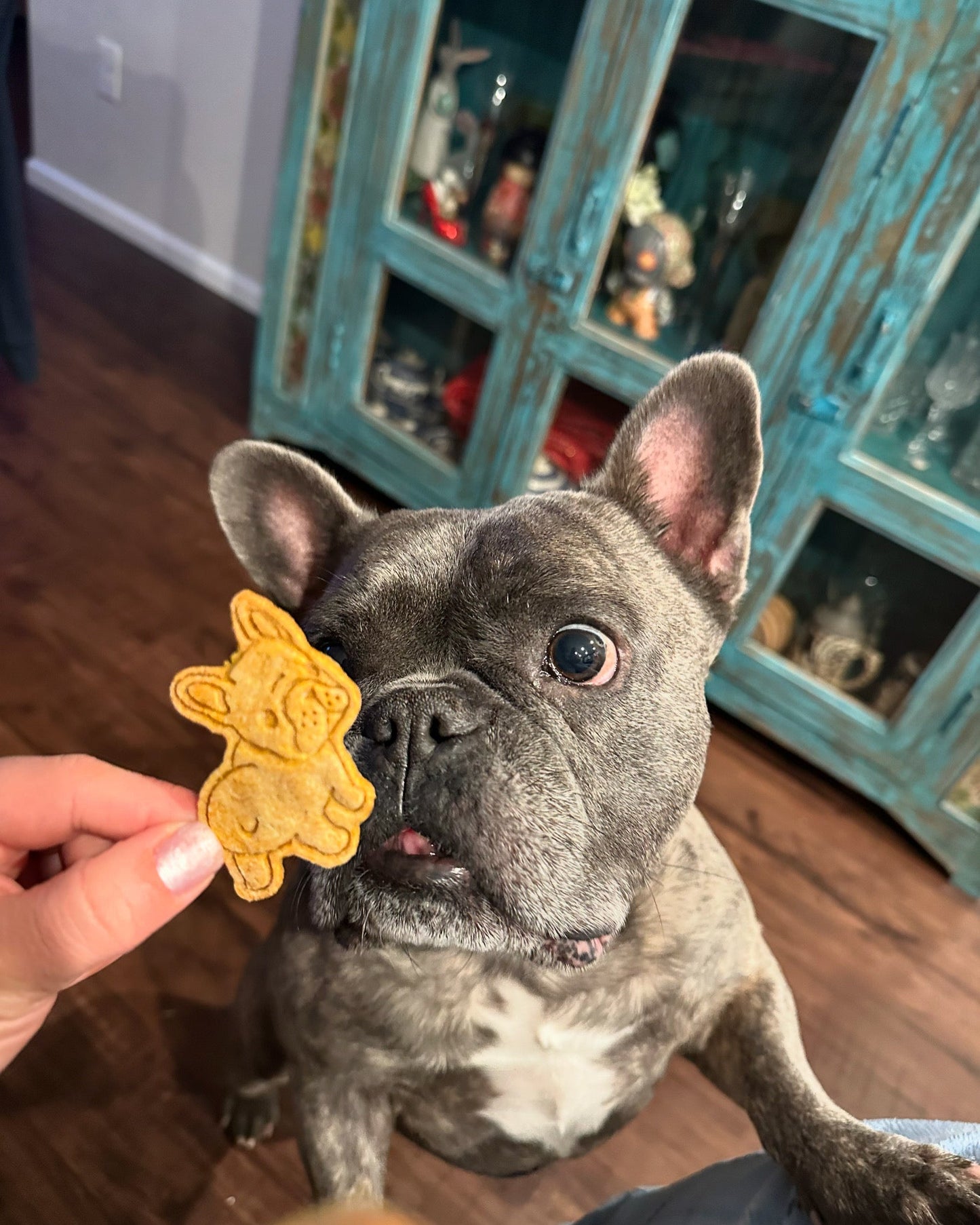 Pumpkin PB Trail Bites