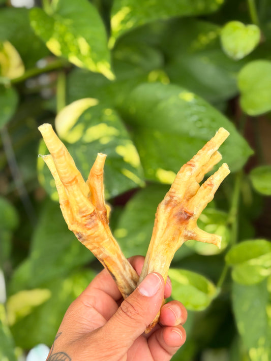 Chicken Feet