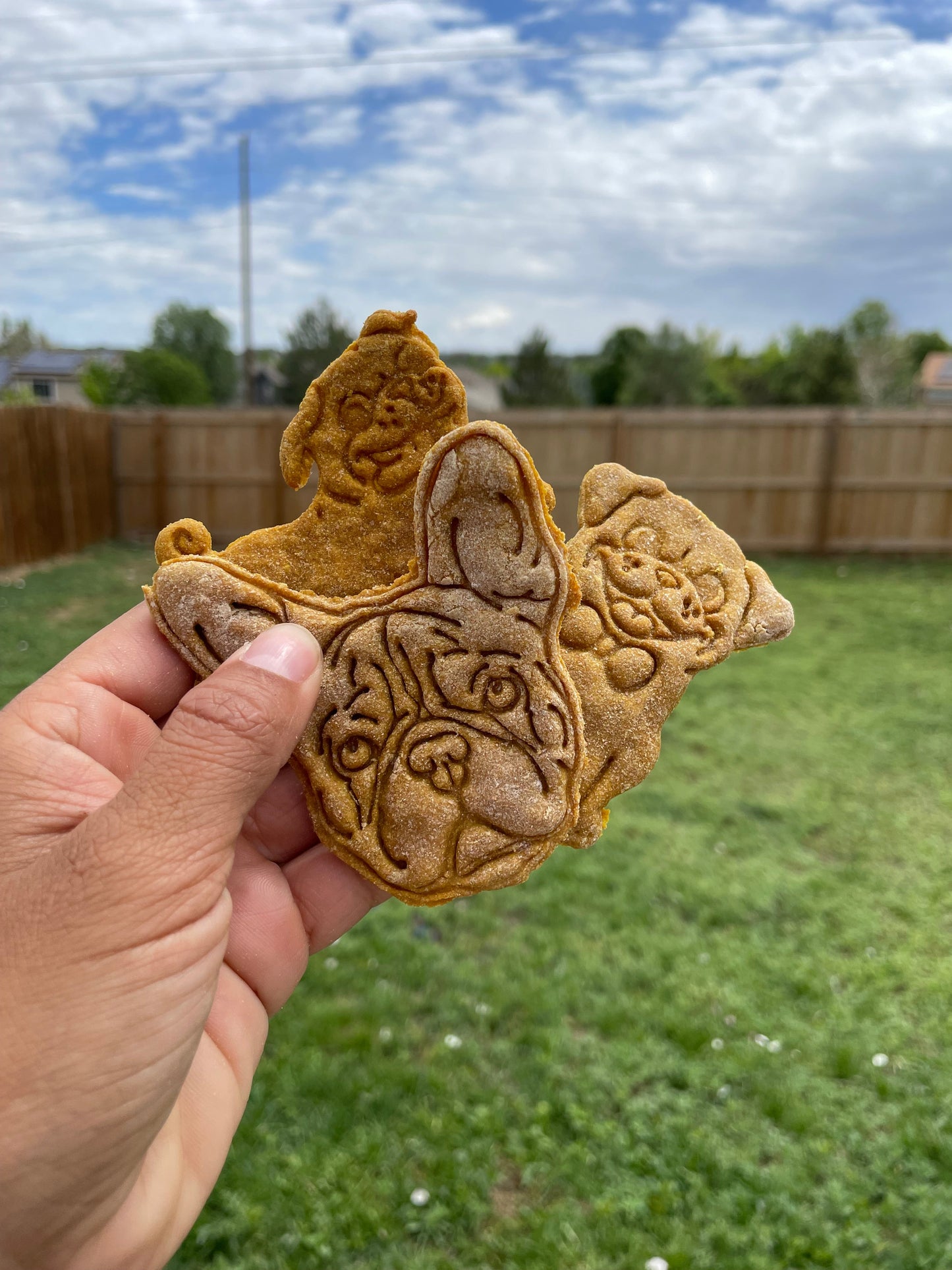 Pumpkin PB Trail Bites